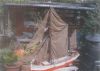 Thames Coastal Sailing Barge "Lady Daphne" - Lines